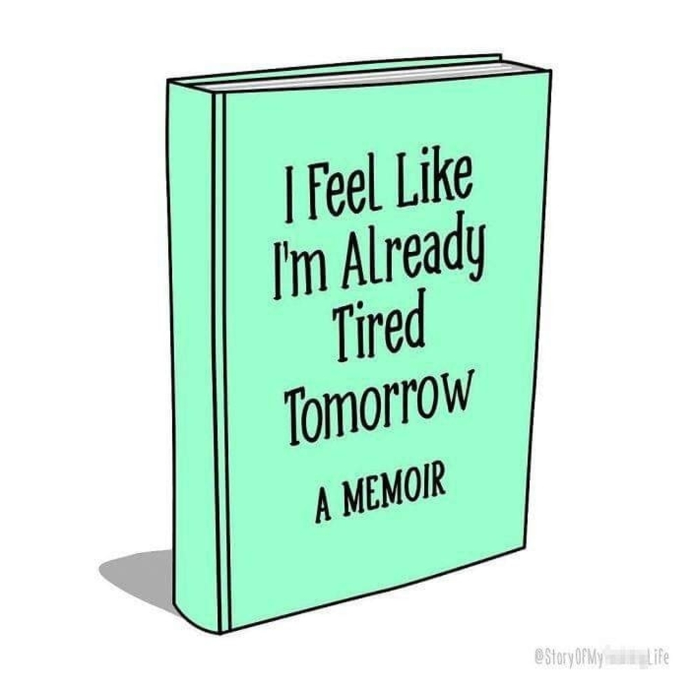 Meet your Posher, Ann